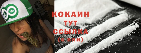 индика Богородск