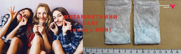 индика Богородск