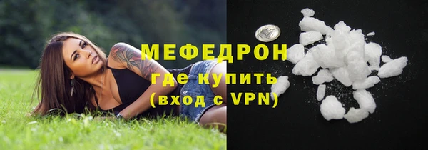 индика Богородск