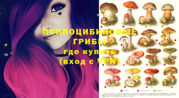 COCAINE Богданович
