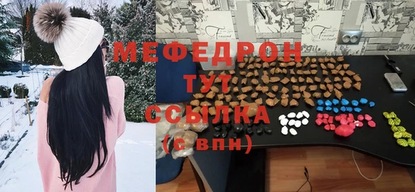 индика Богородск