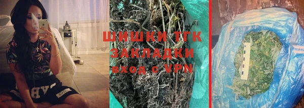 индика Богородск