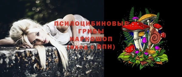 COCAINE Богданович