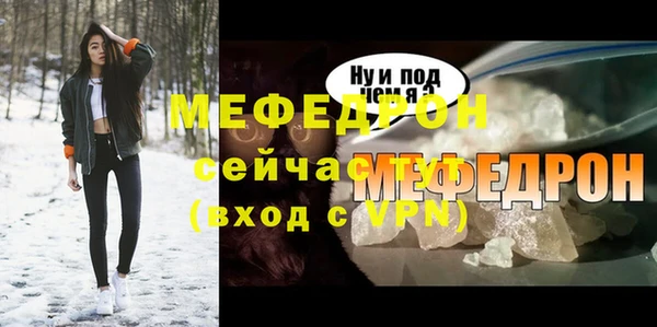 индика Богородск