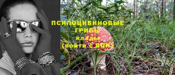 COCAINE Богданович