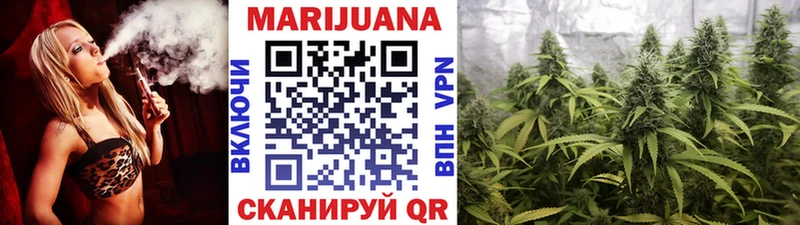 как найти наркотики  Дорогобуж  Канабис план 